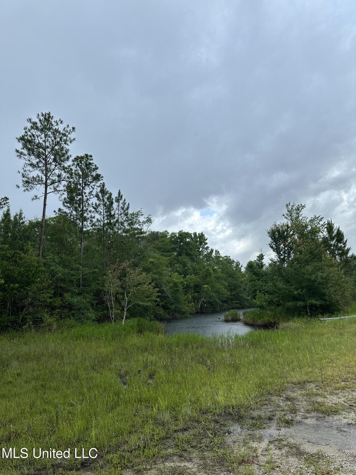 27-acres Brinkman Road East Moss Point, MS 39562 - Photo 10 of 12 IMG_1394
