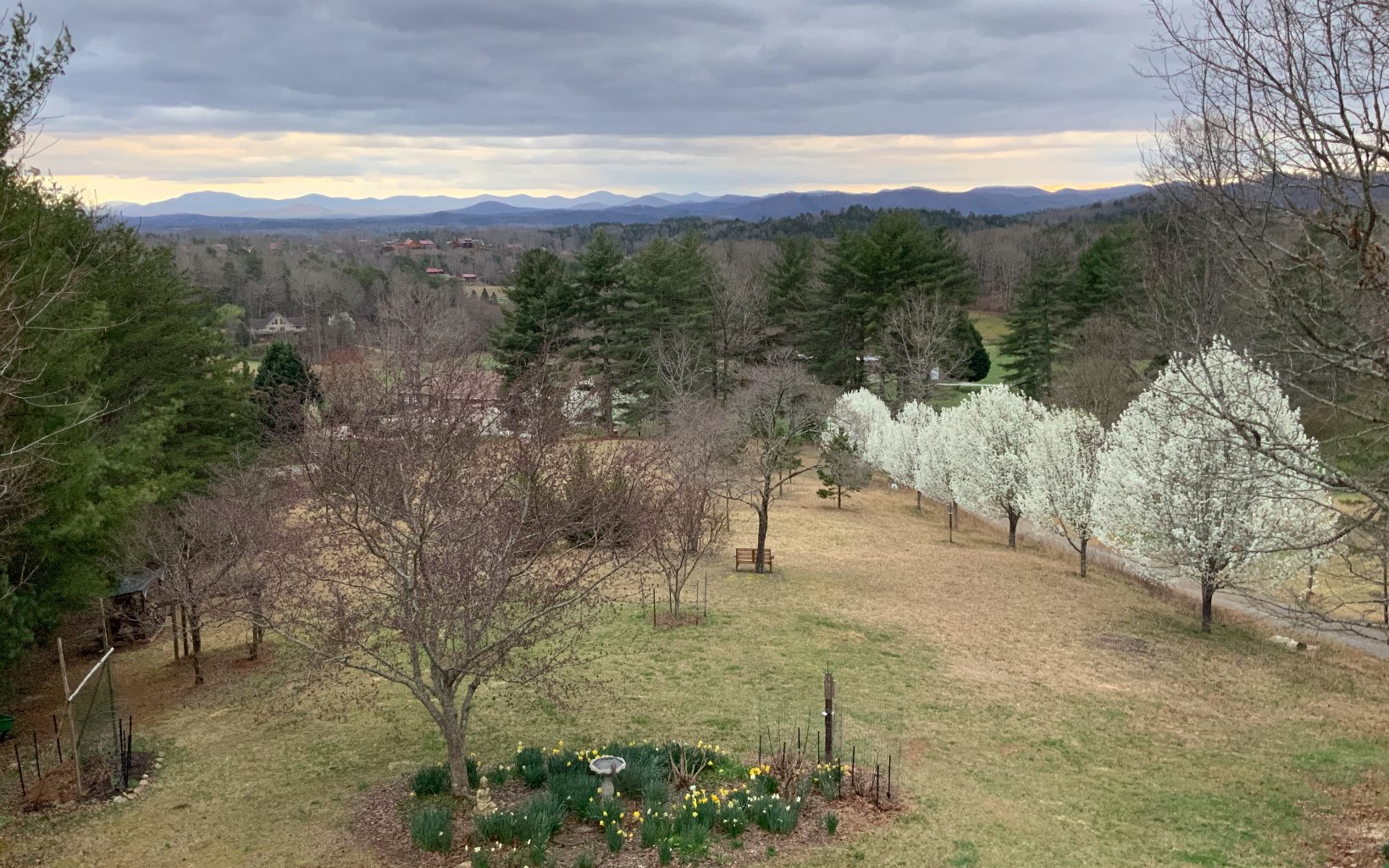 719 Graham Road Murphy, NC 28906 - Photo 39 of 43 Additional View