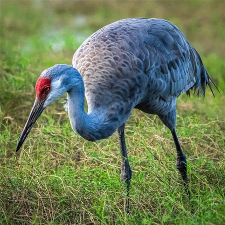 $649,900 | 5 Aye Court, Placida, FL 33946