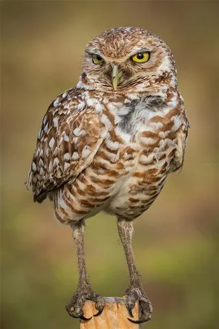 $649,900 | 5 Aye Court, Placida, FL 33946