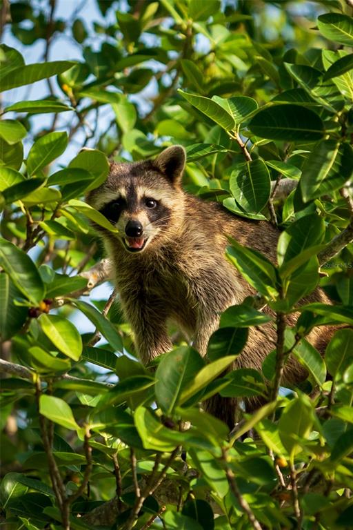 5 Aye Court Placida, FL 33946 - Photo 70 of 91