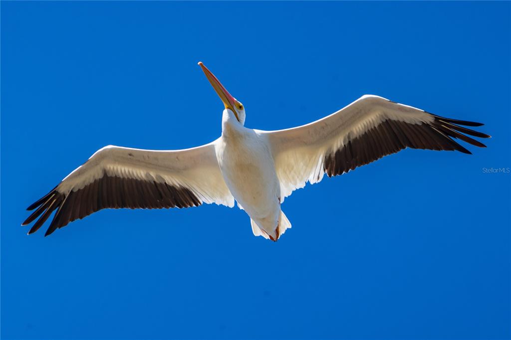 5 Aye Court Placida, FL 33946 - Photo 74 of 91