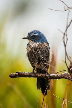 $649,900 | 5 Aye Court, Placida, FL 33946