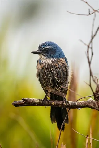 $649,900 | 5 Aye Court, Placida, FL 33946