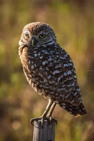 $649,900 | 5 Aye Court, Placida, FL 33946