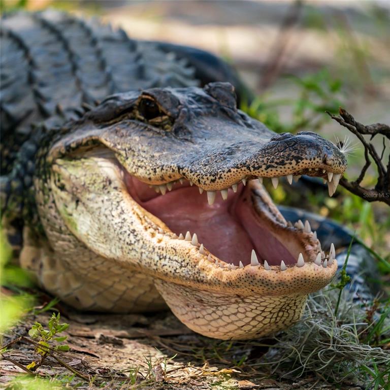 5 Aye Court Placida, FL 33946 - Photo 79 of 91