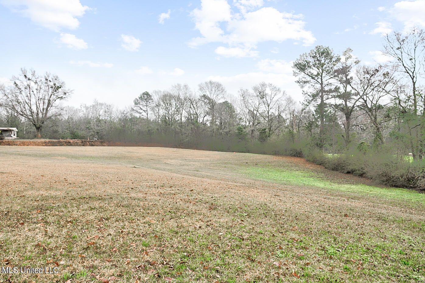 3899 Midway Road Carthage, MS 39051 - Photo 7 of 29 3899 Midway rd ext Final-5
