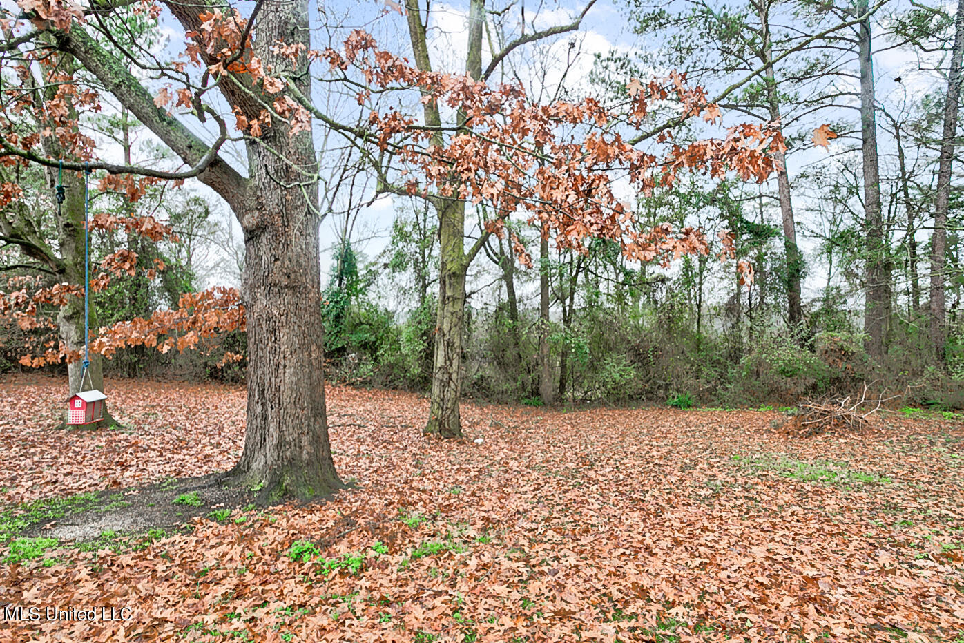 3899 Midway Road Carthage, MS 39051 - Photo 9 of 29 3899 Midway rd ext Final-3