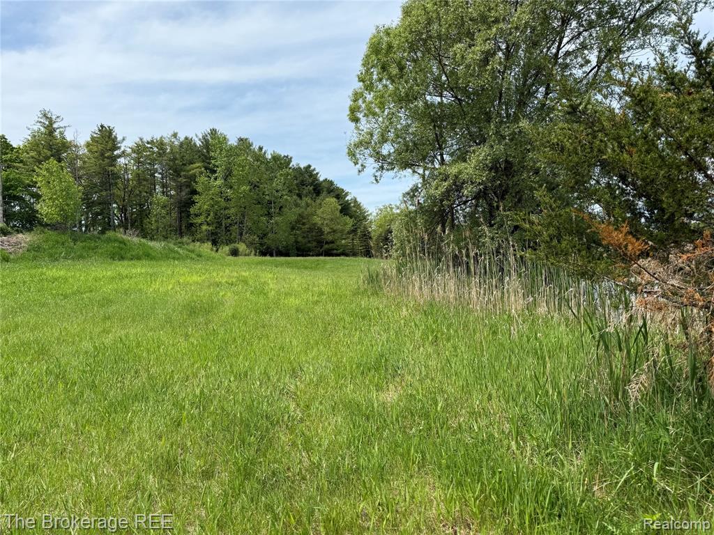 3020 Merwin Road Lapeer, MI 48446 - Photo 20 of 33