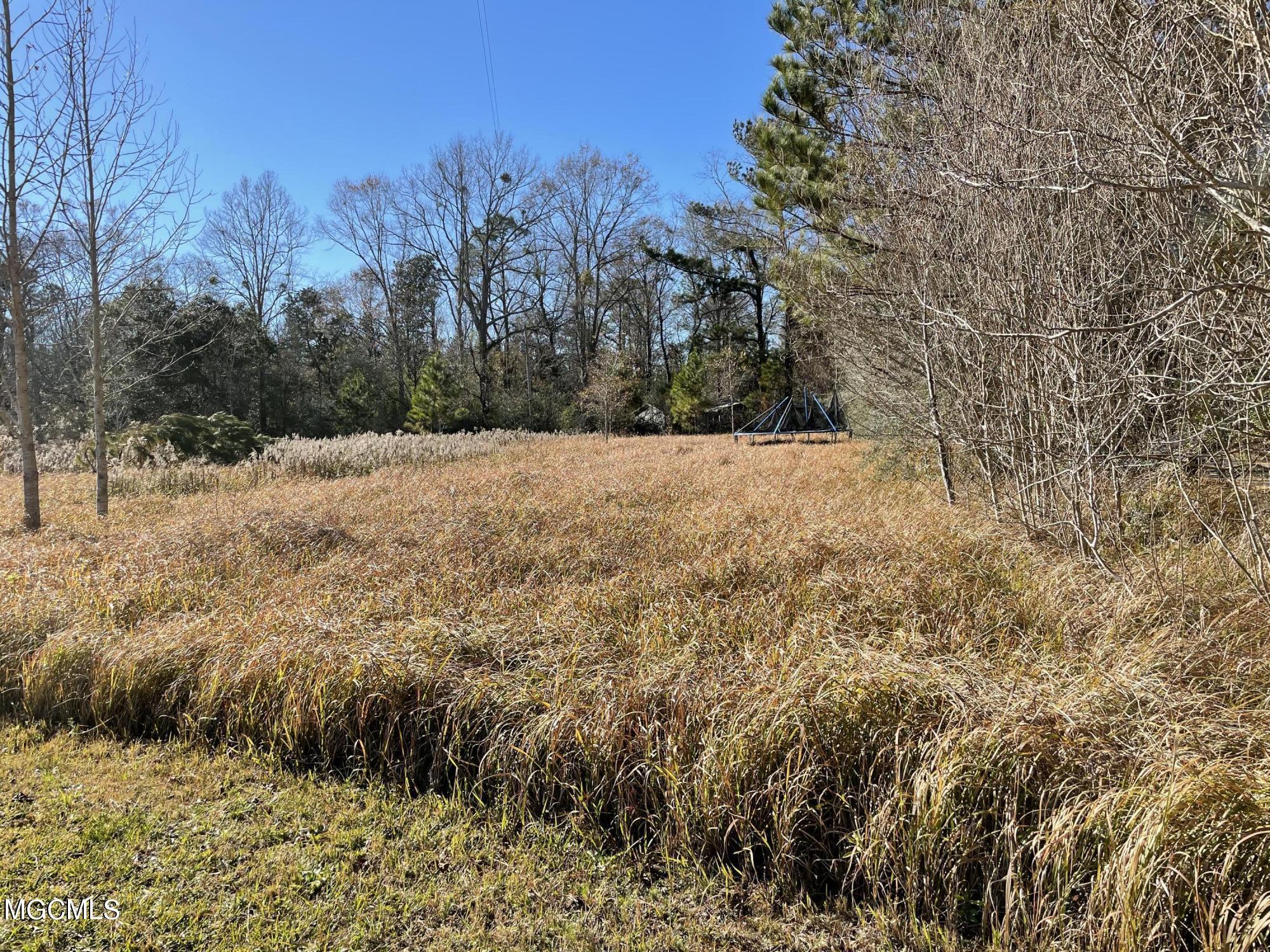 0 Wesley Powell Road Lucedale, MS 39452 - Photo 1 of 2 IMG_2574