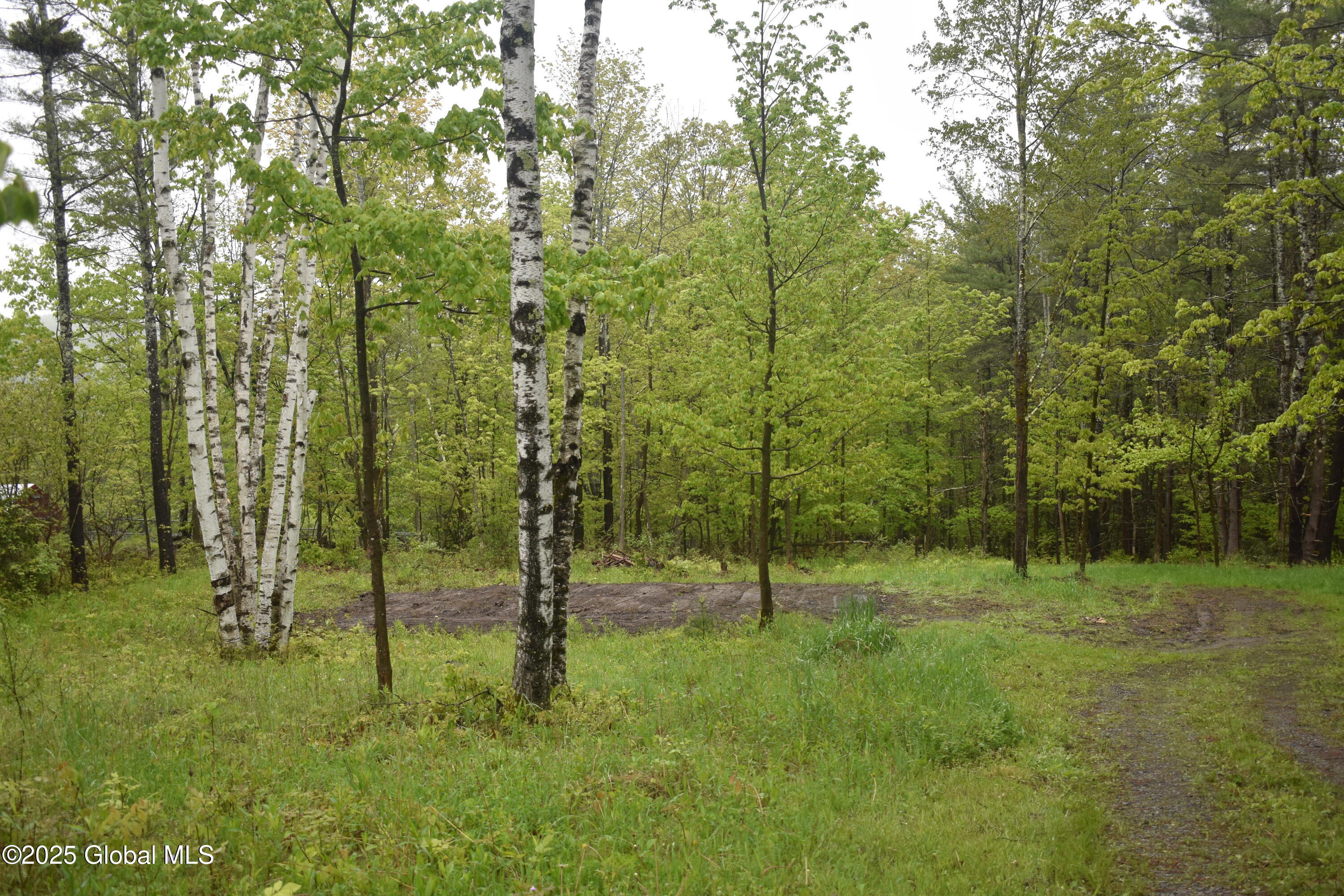 L2 Posson Hill Road Middleburgh, NY 12122 - Photo 1 of 11 DSC_0388