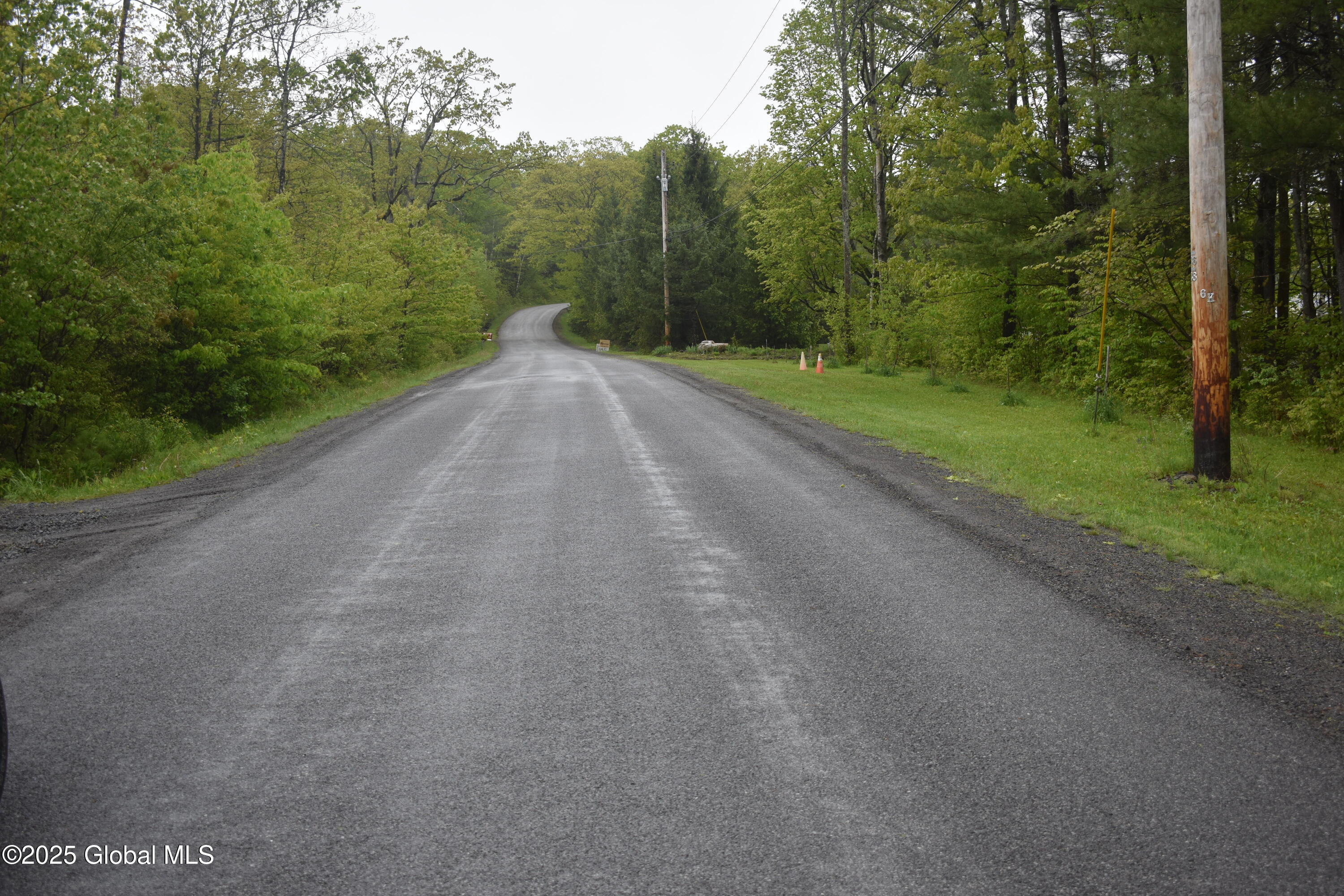 L2 Posson Hill Road Middleburgh, NY 12122 - Photo 11 of 11 DSC_0383