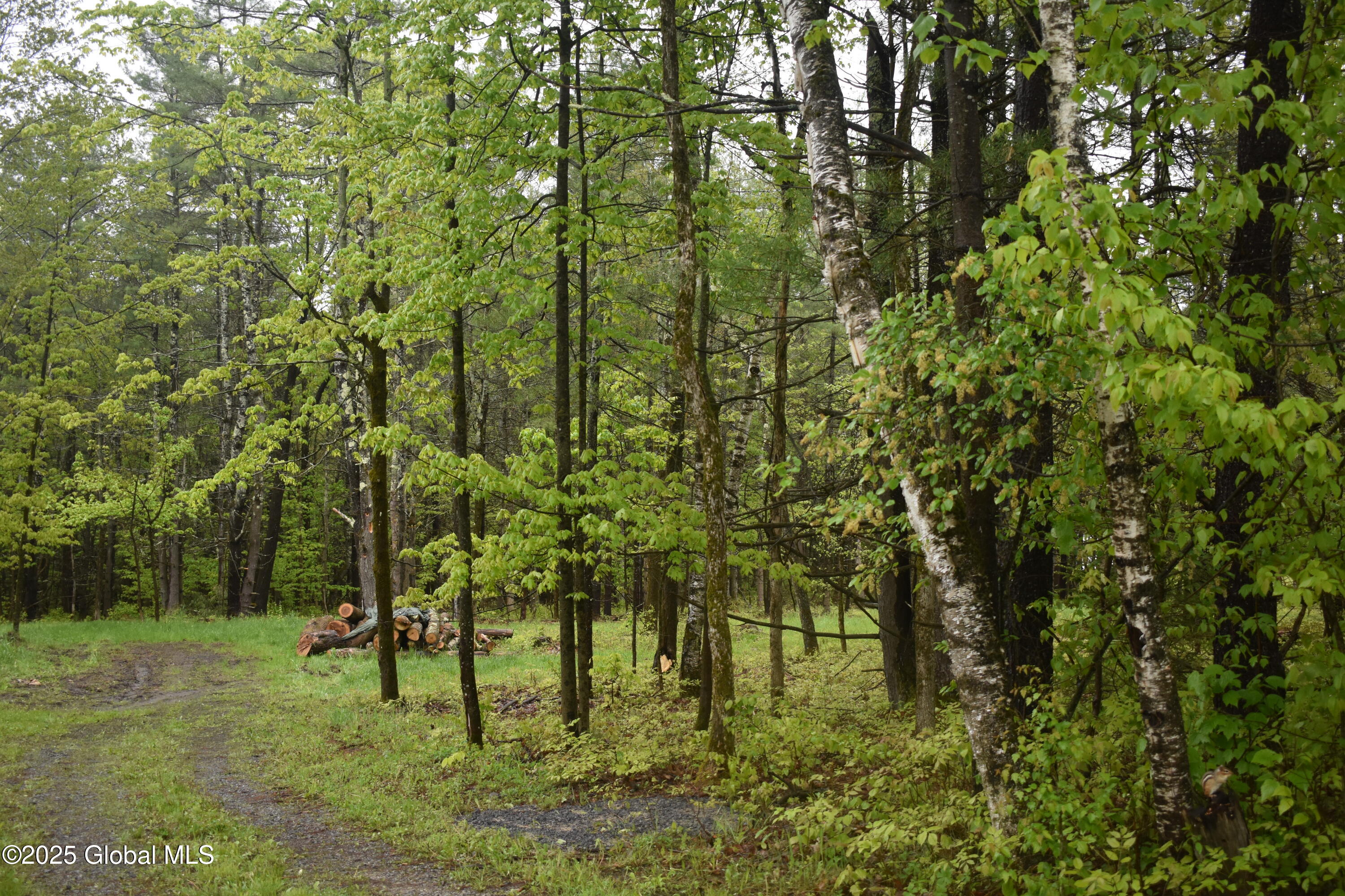 L2 Posson Hill Road Middleburgh, NY 12122 - Photo 2 of 11 DSC_0387