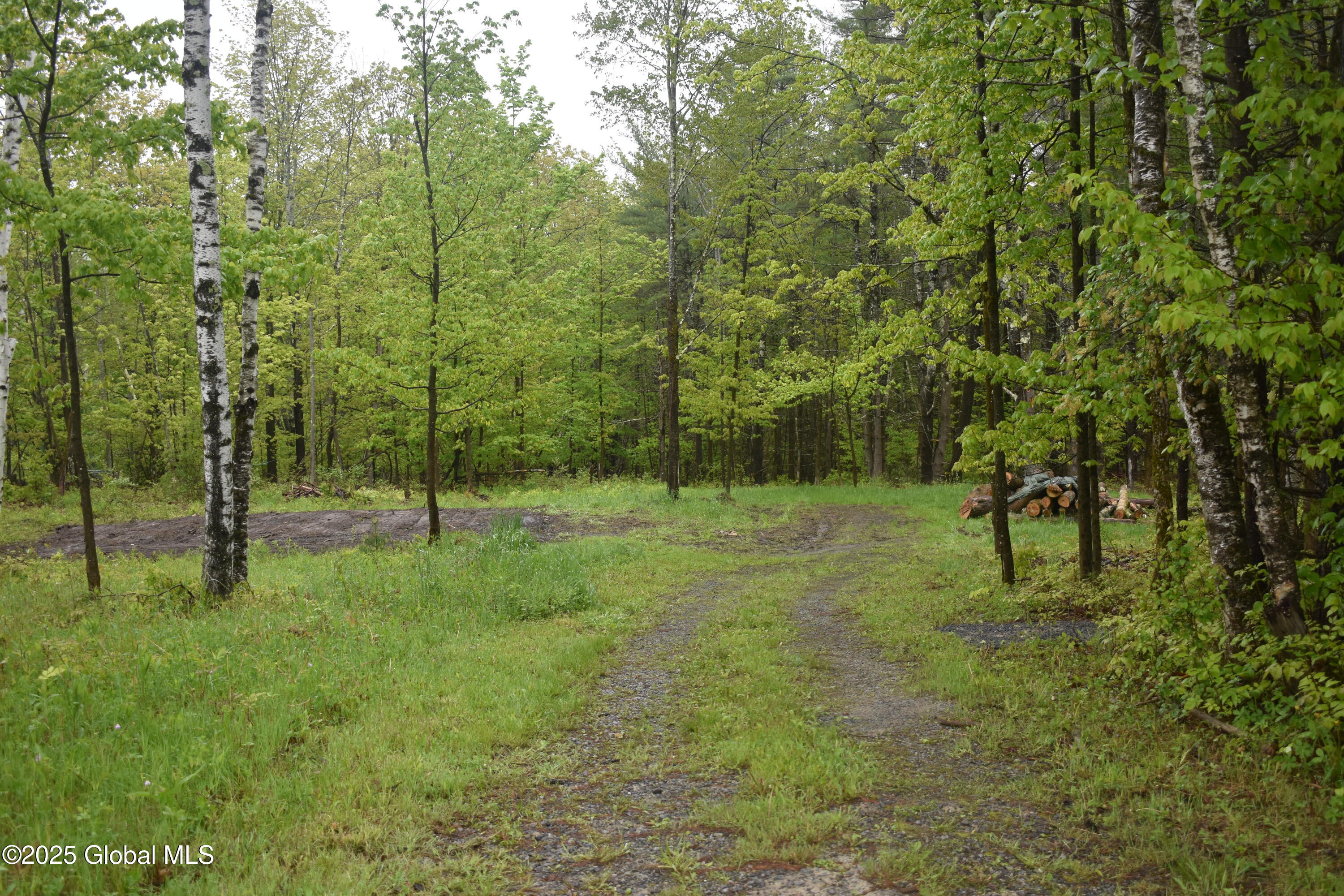 L2 Posson Hill Road Middleburgh, NY 12122 - Photo 3 of 11 DSC_0386