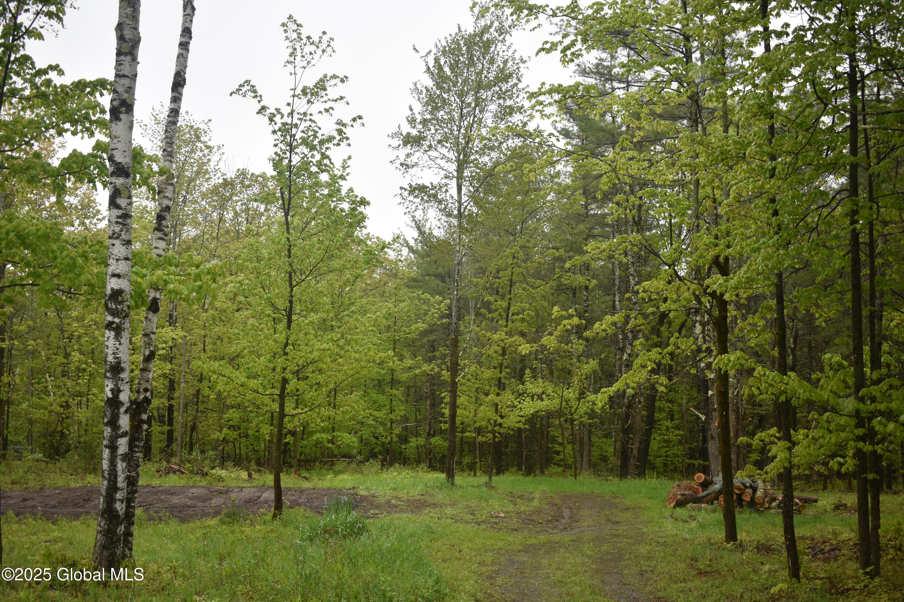 L2 Posson Hill Road Middleburgh, NY 12122 - Photo 4 of 11 DSC_0389
