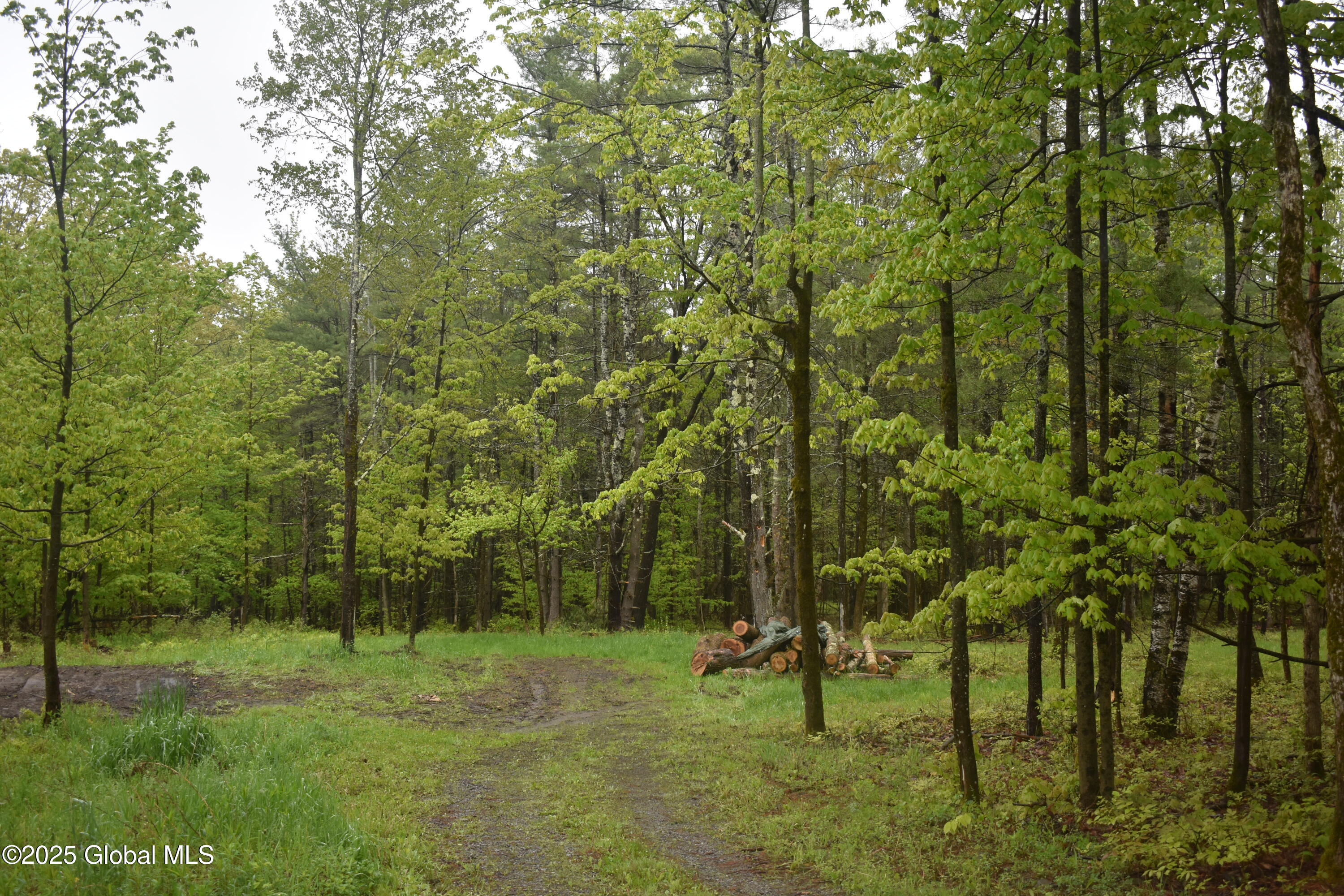 L2 Posson Hill Road Middleburgh, NY 12122 - Photo 5 of 11 DSC_0390