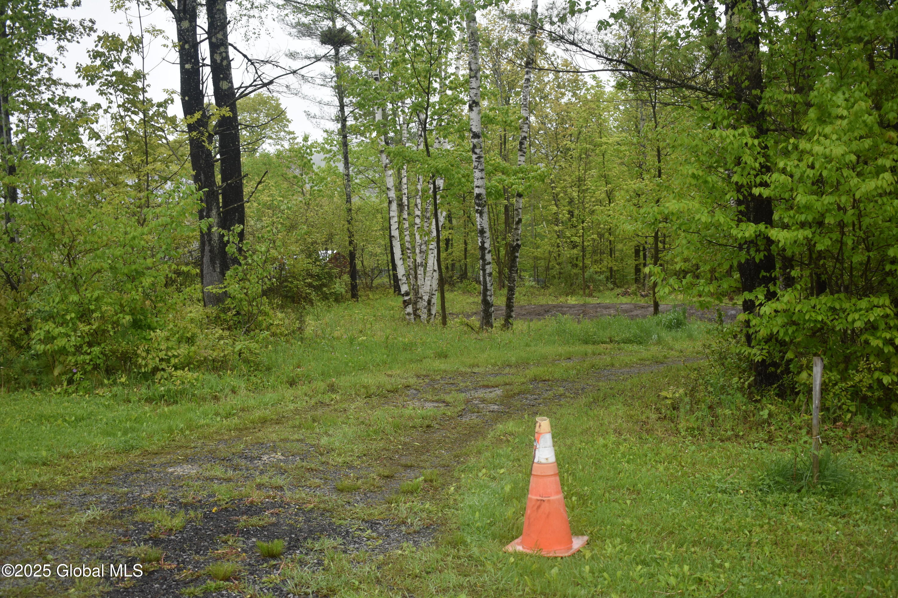 L2 Posson Hill Road Middleburgh, NY 12122 - Photo 6 of 11 DSC_0385