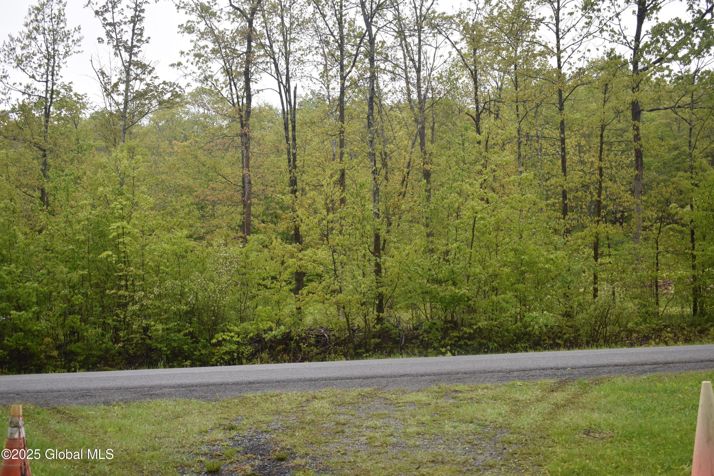 L2 Posson Hill Road Middleburgh, NY 12122 - Photo 8 of 11 DSC_0391