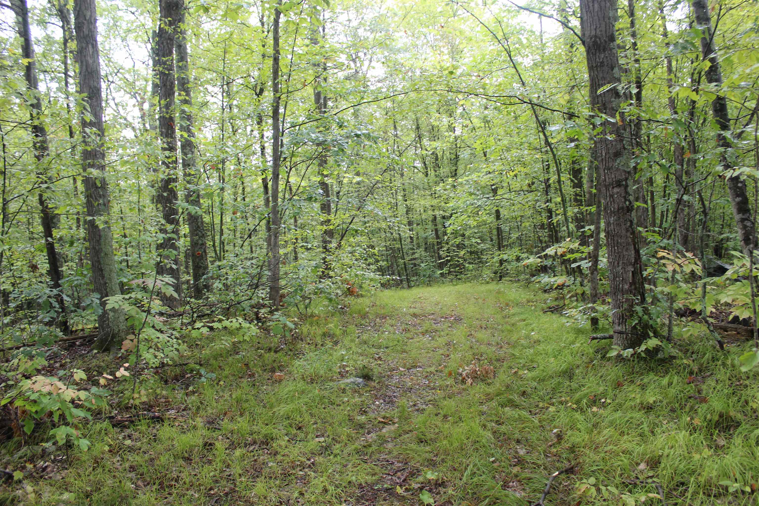 24 Pearl Road Orwell, VT 05760 - Photo 9 of 38
