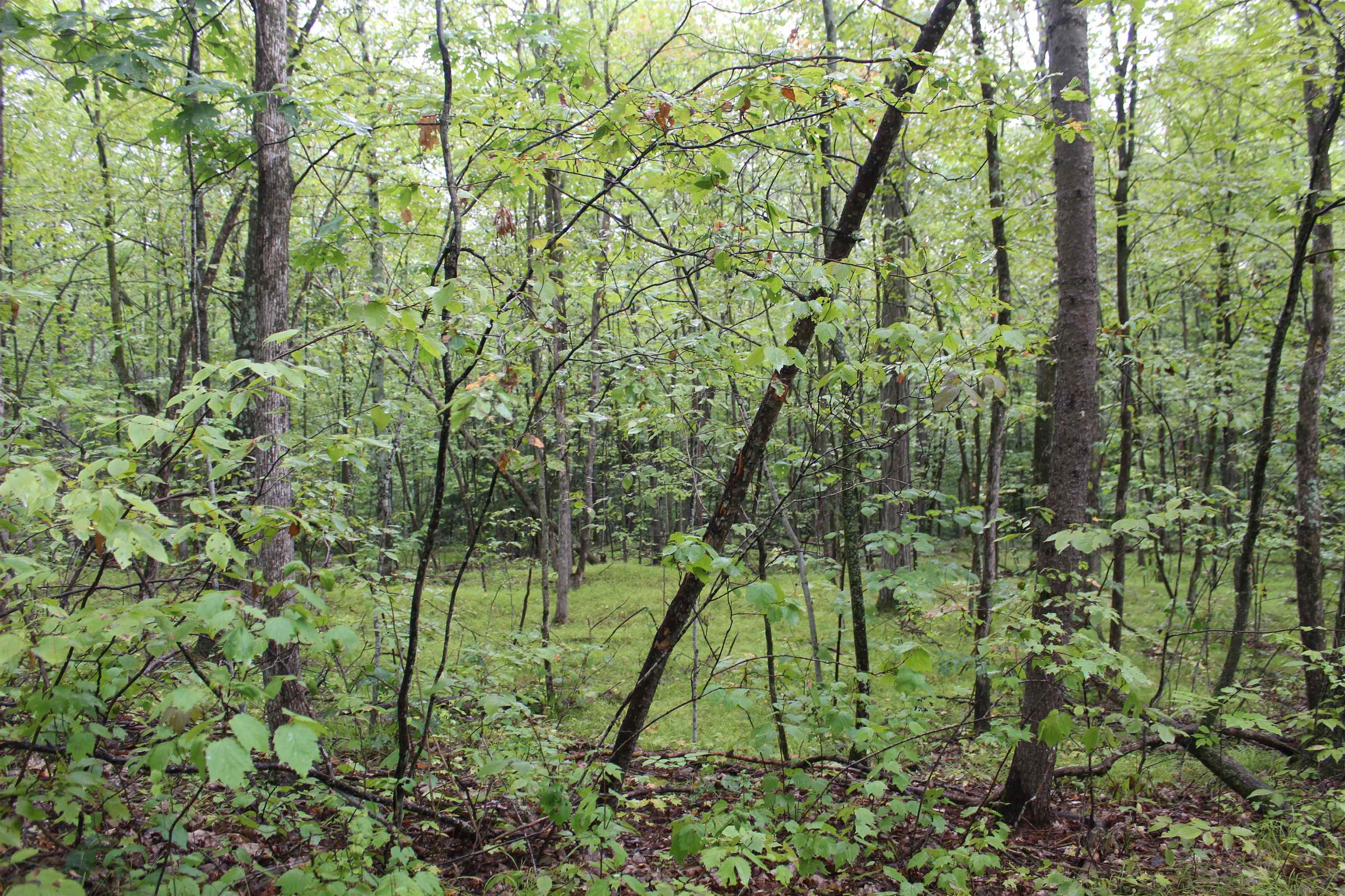 24 Pearl Road Orwell, VT 05760 - Photo 10 of 38