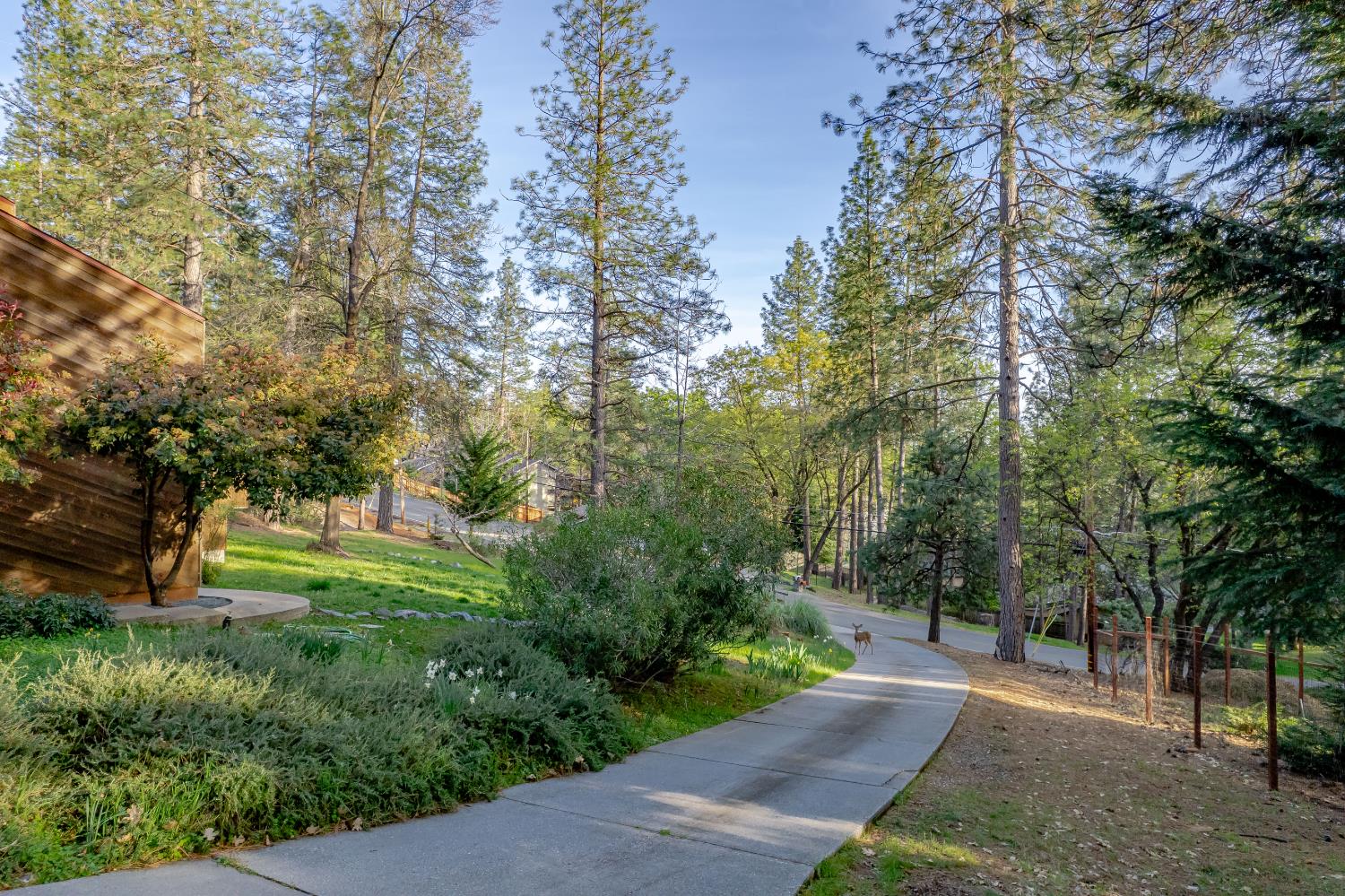 18370 Norlene Way Grass Valley, CA 95949 - Photo 29 of 46 a view of a park with large trees