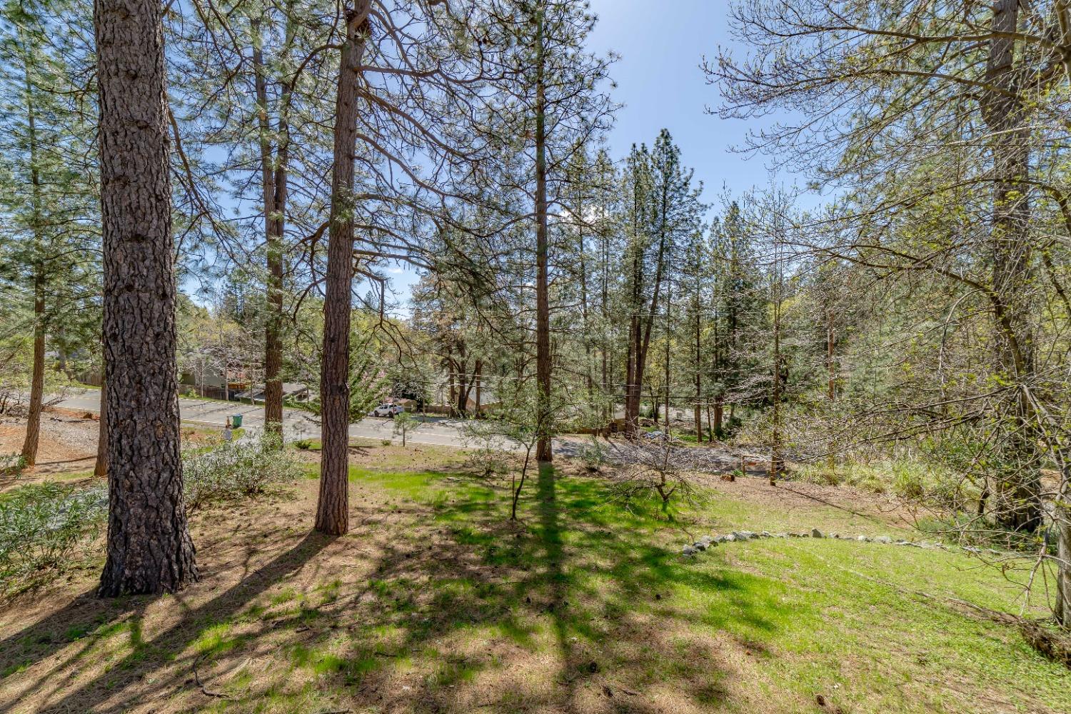 18370 Norlene Way Grass Valley, CA 95949 - Photo 35 of 46 a backyard of a house with lots of green space