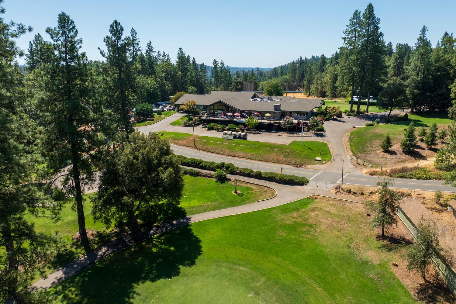 18370 Norlene Way Grass Valley, CA 95949 - Photo 44 of 46 a view of a swimming pool with lawn chairs and plants