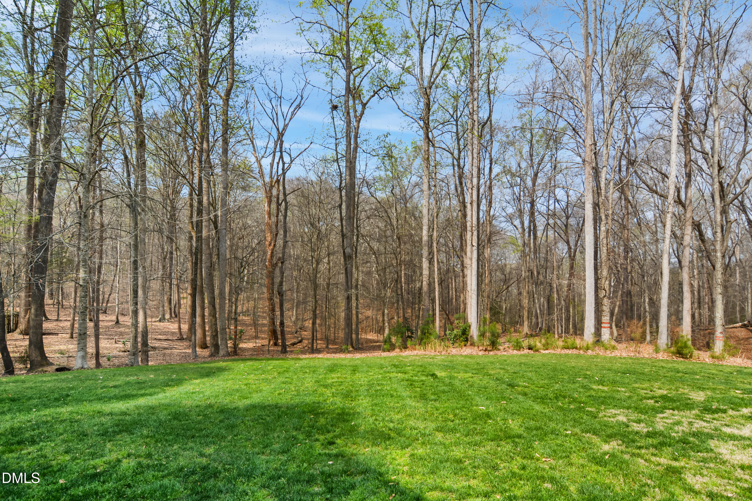 9933 Koupela Drive Raleigh, NC 27614 - Photo 53 of 59 50