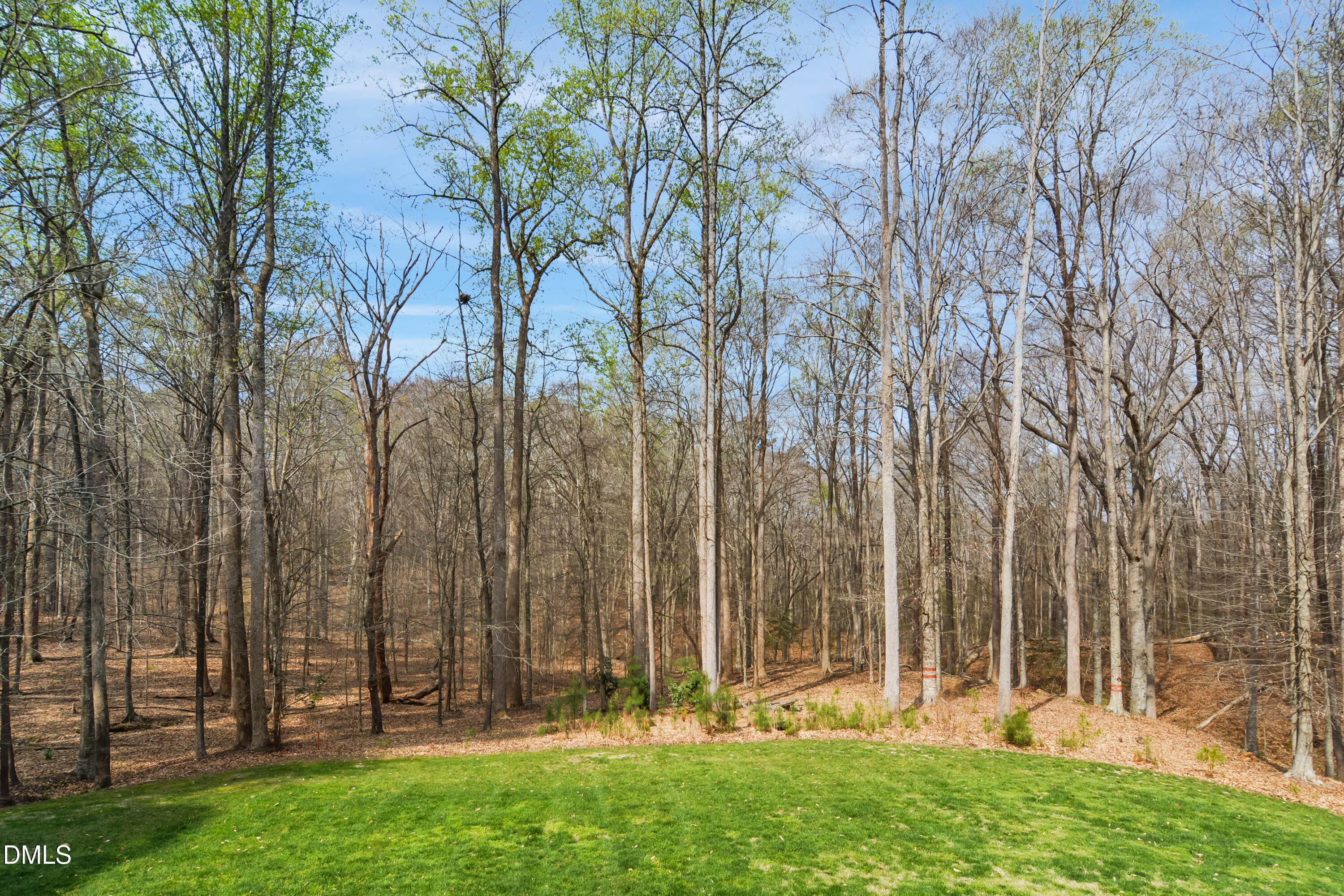 9933 Koupela Drive Raleigh, NC 27614 - Photo 54 of 59 a view of outdoor space with deck and yard