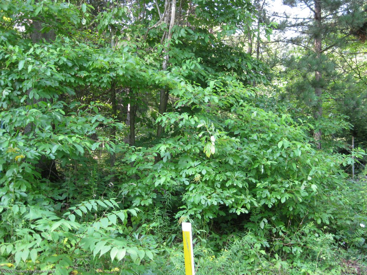 Lot #1-151 Creamery Road Tunkhannock, PA 18657 - Photo 1 of 2 Road frontage