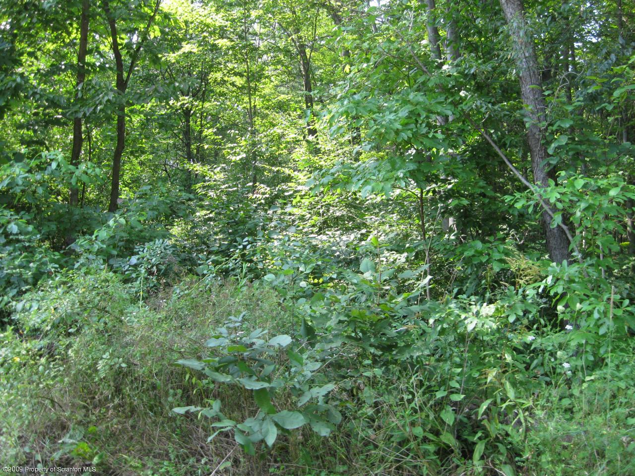 Lot #1-151 Creamery Road Tunkhannock, PA 18657 - Photo 2 of 2 View from creamery