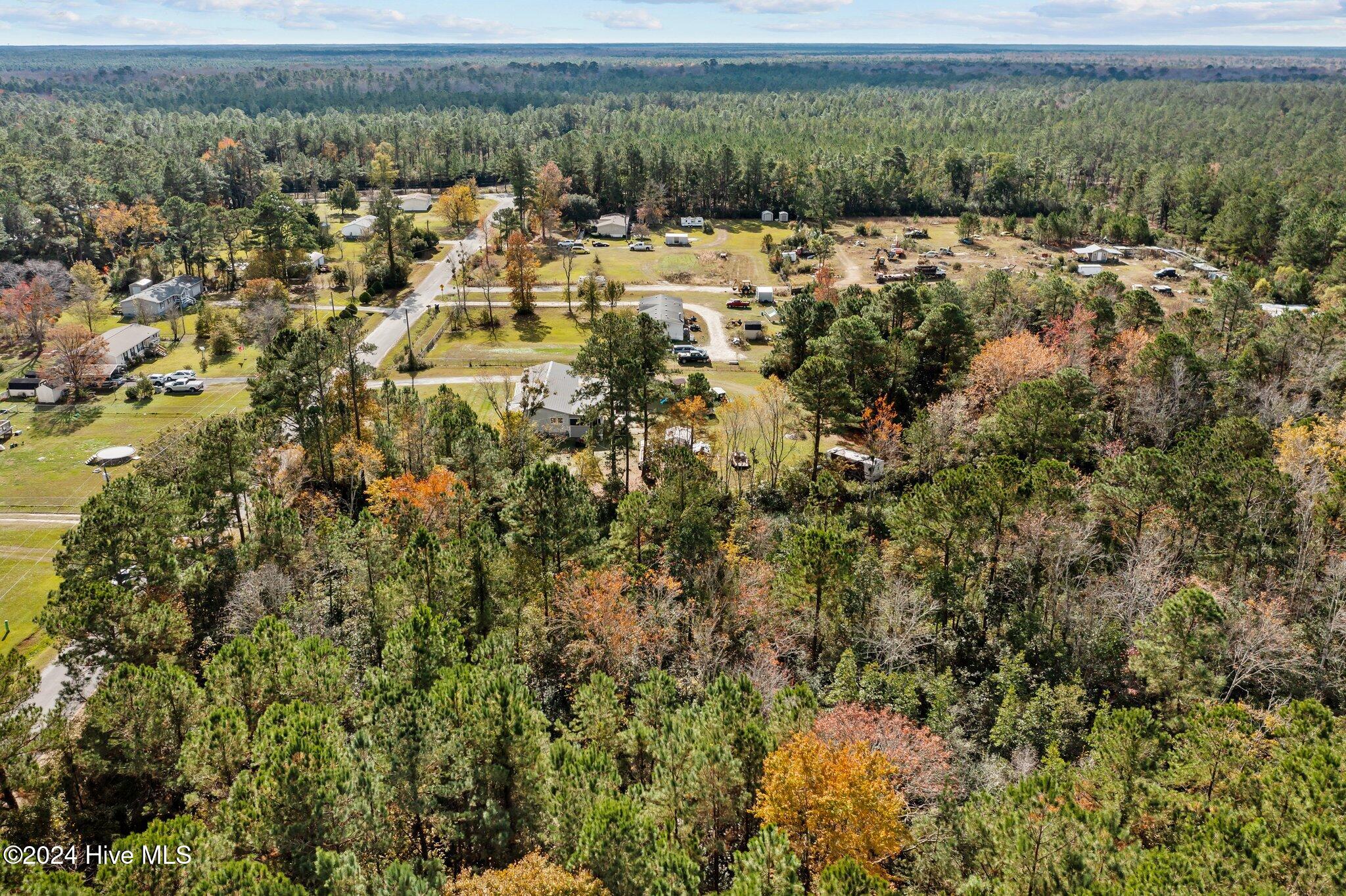 239 Old Timber Road Jacksonville, NC 28540 - Photo 9 of 15 9-web-or-mls-DJI_0876