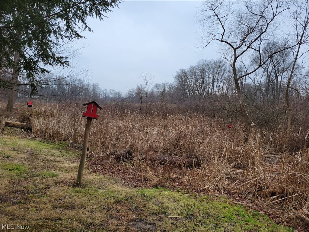 Vl Diagonal Road Kent, OH 44240 - Photo 1 of 4 View of yard