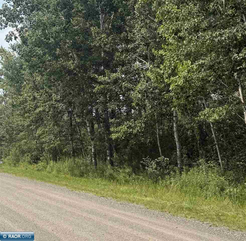 Tbd South Peary Rd Drive Eveleth, MN 55734 - Photo 2 of 3