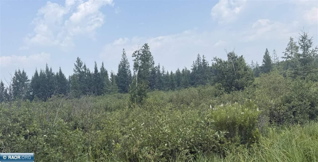 Tbd South Peary Rd Drive Eveleth, MN 55734 - Photo 3 of 3