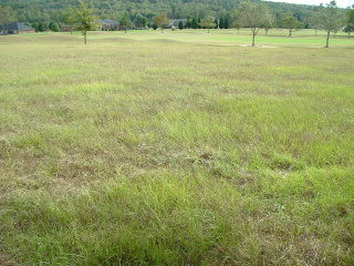1405 Raccoon Road, Unit LOT 111 Sumter, SC 29154 - Photo 1 of 1 Gallery Image 1