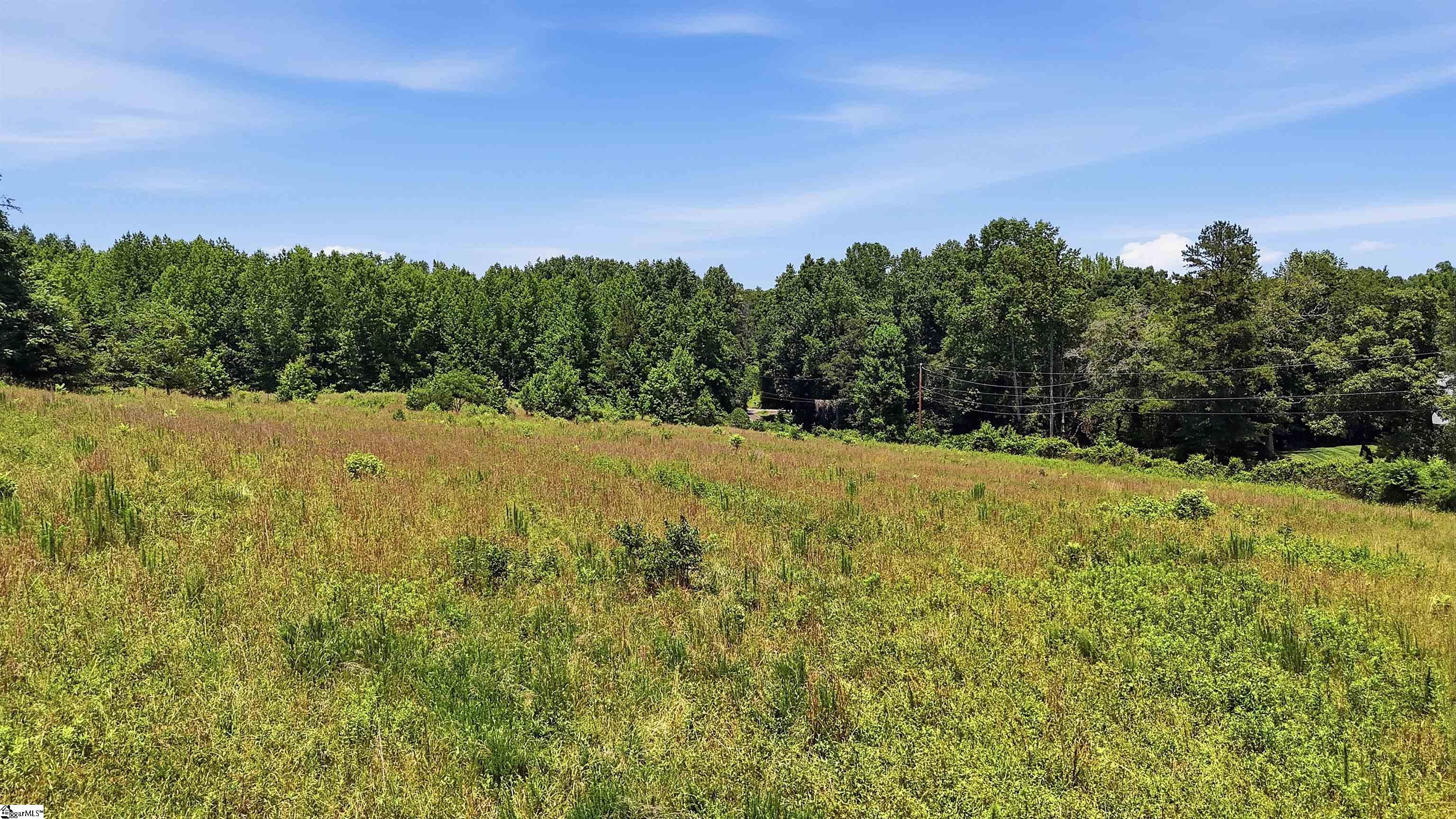4453 Jug Factory Road Greer, SC 29651 - Photo 4 of 13