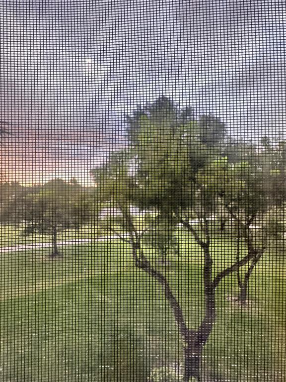 9531 Seagrape Drive, Unit 304 Davie, FL 33324 - Photo 8 of 11