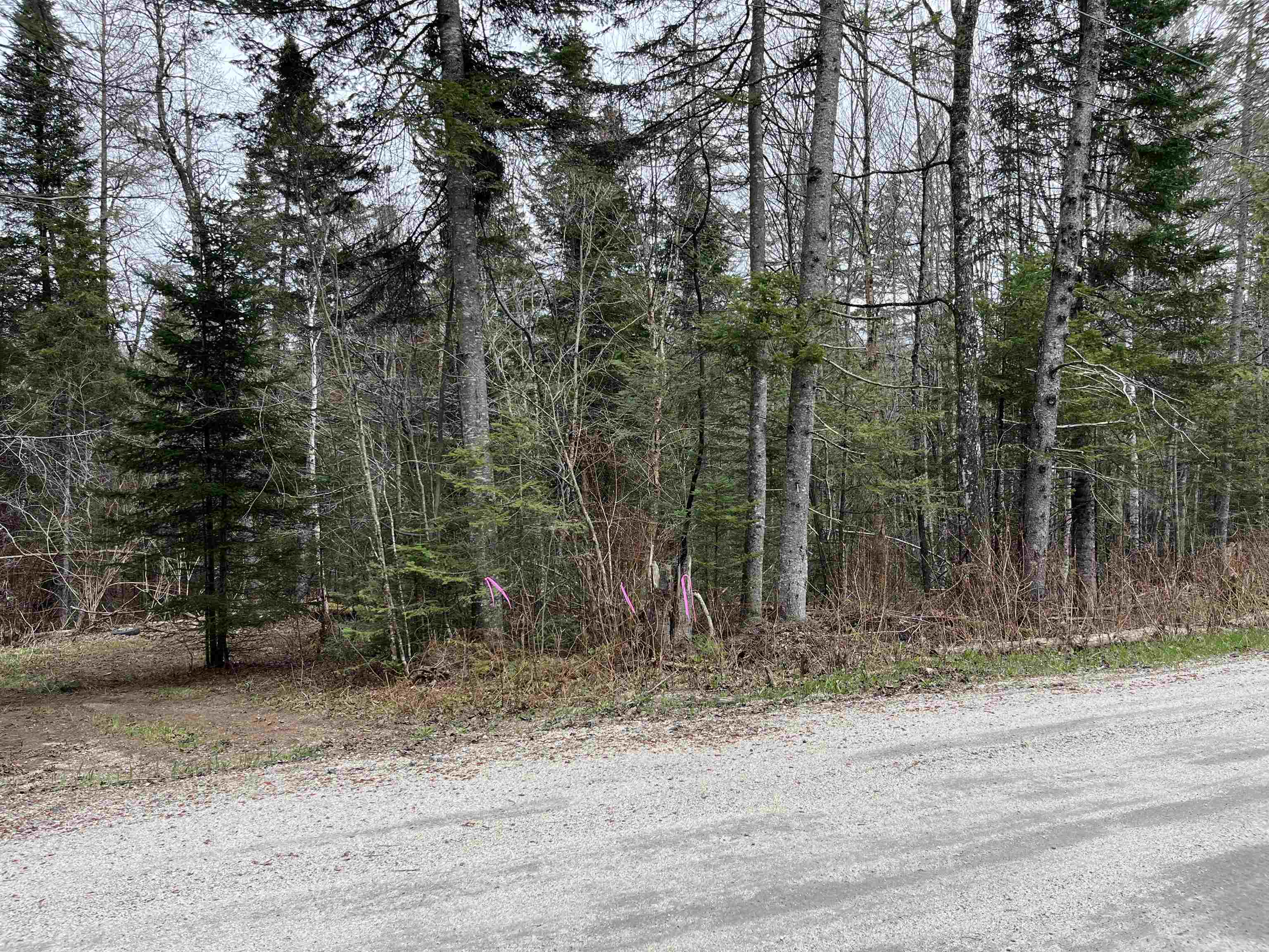 Tbd Center Pond Road West Burke, VT 05871 - Photo 2 of 10