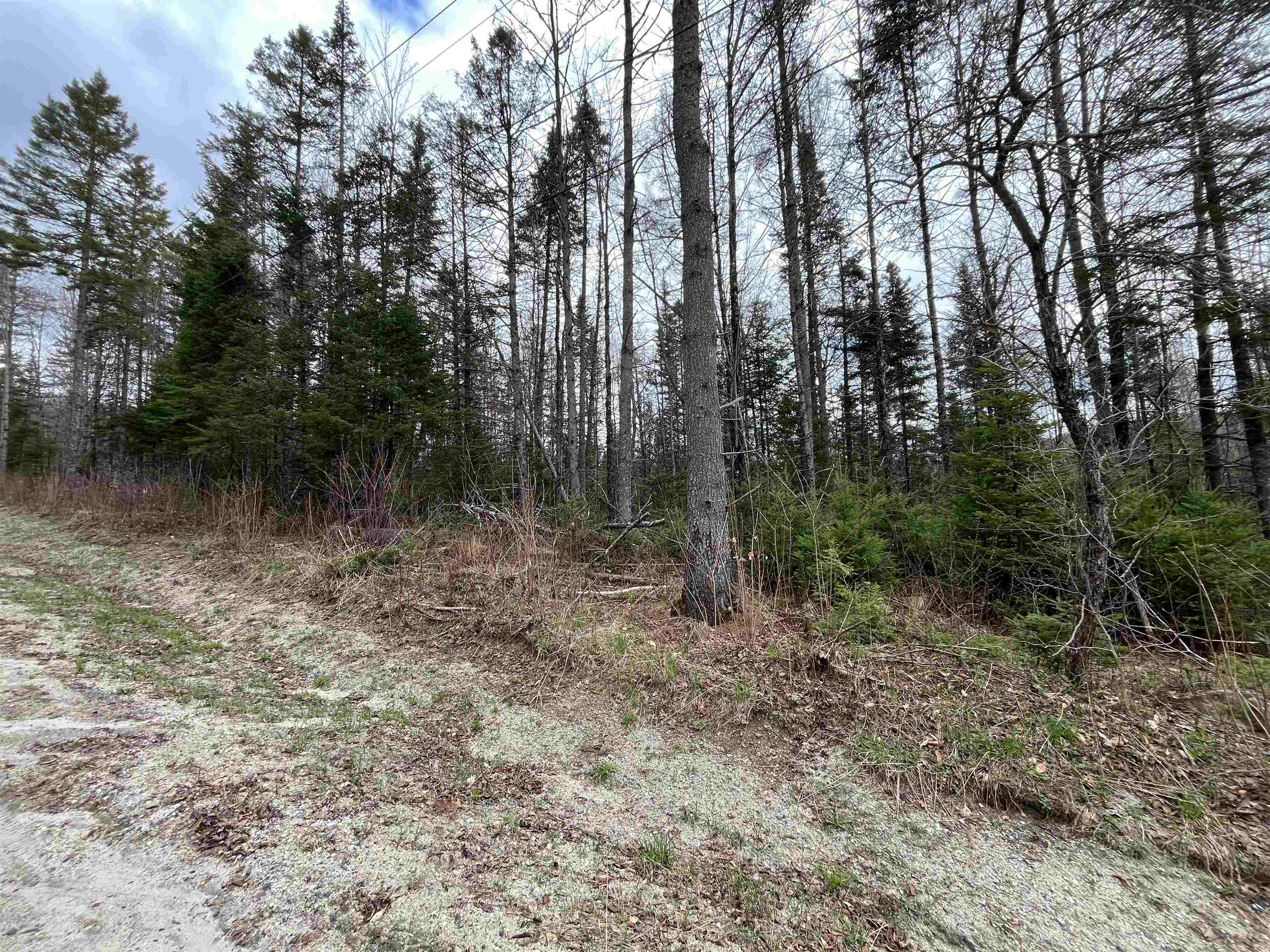 Tbd Center Pond Road West Burke, VT 05871 - Photo 3 of 10