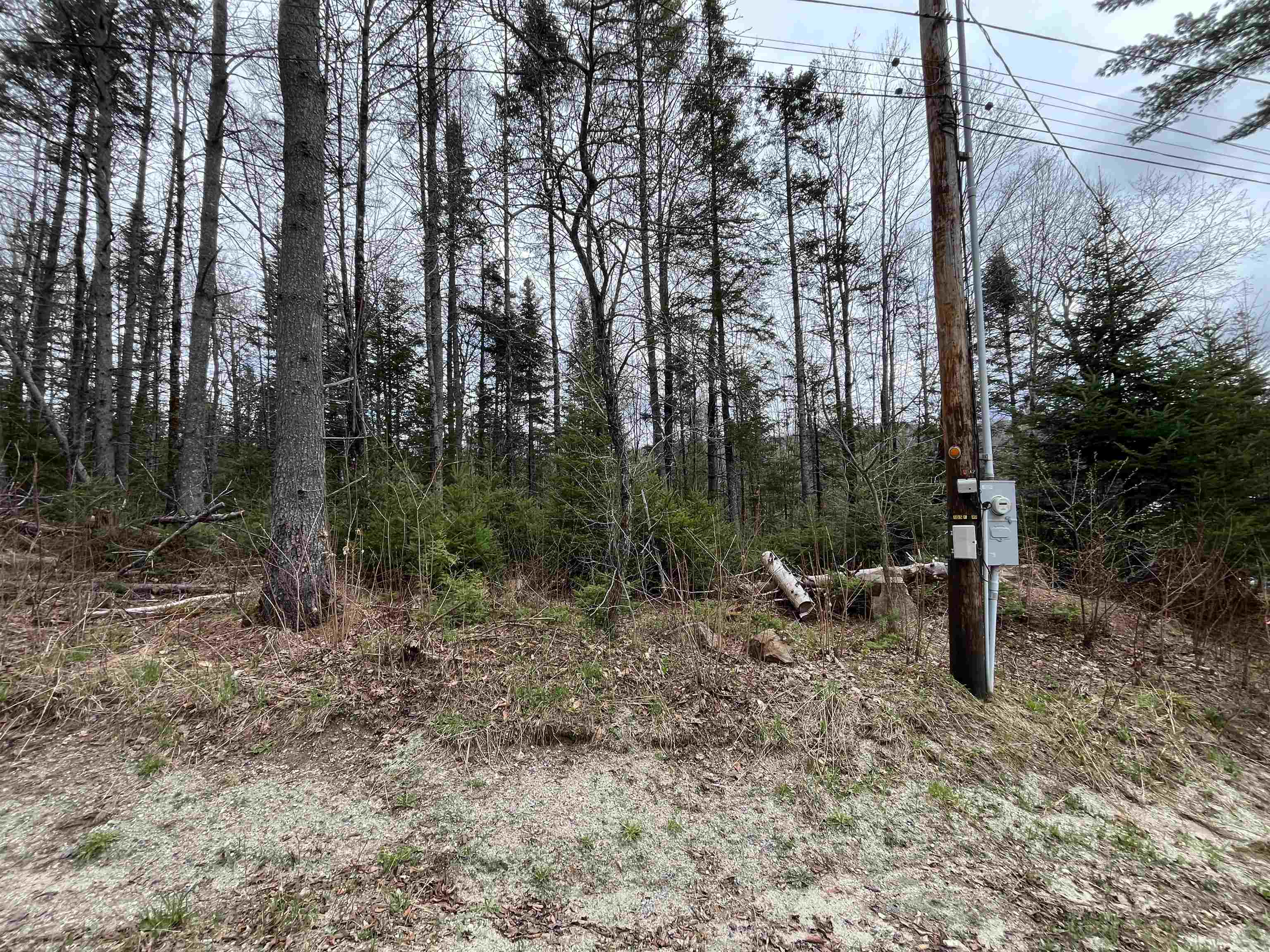 Tbd Center Pond Road West Burke, VT 05871 - Photo 4 of 10