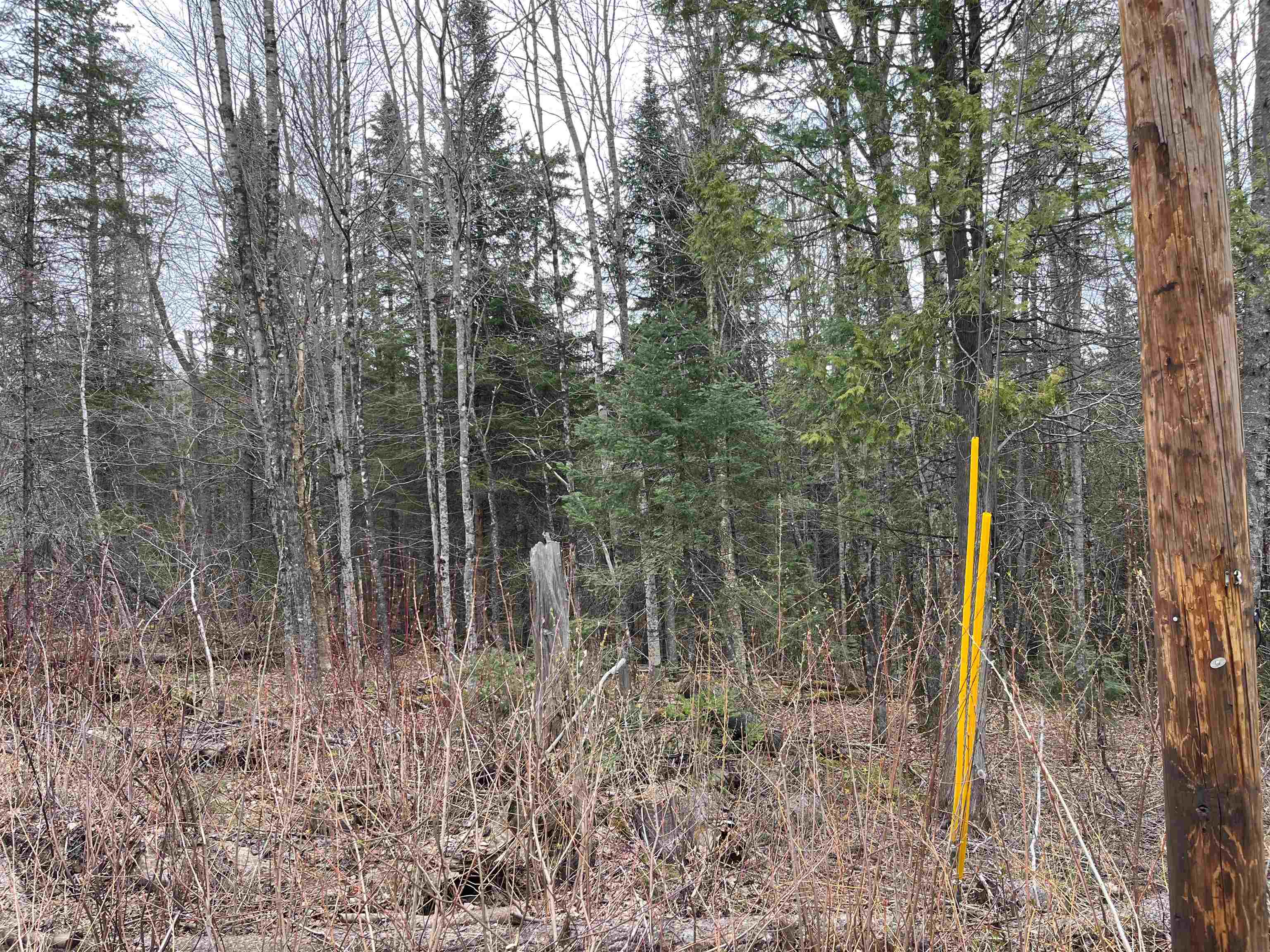 Tbd Center Pond Road West Burke, VT 05871 - Photo 8 of 10