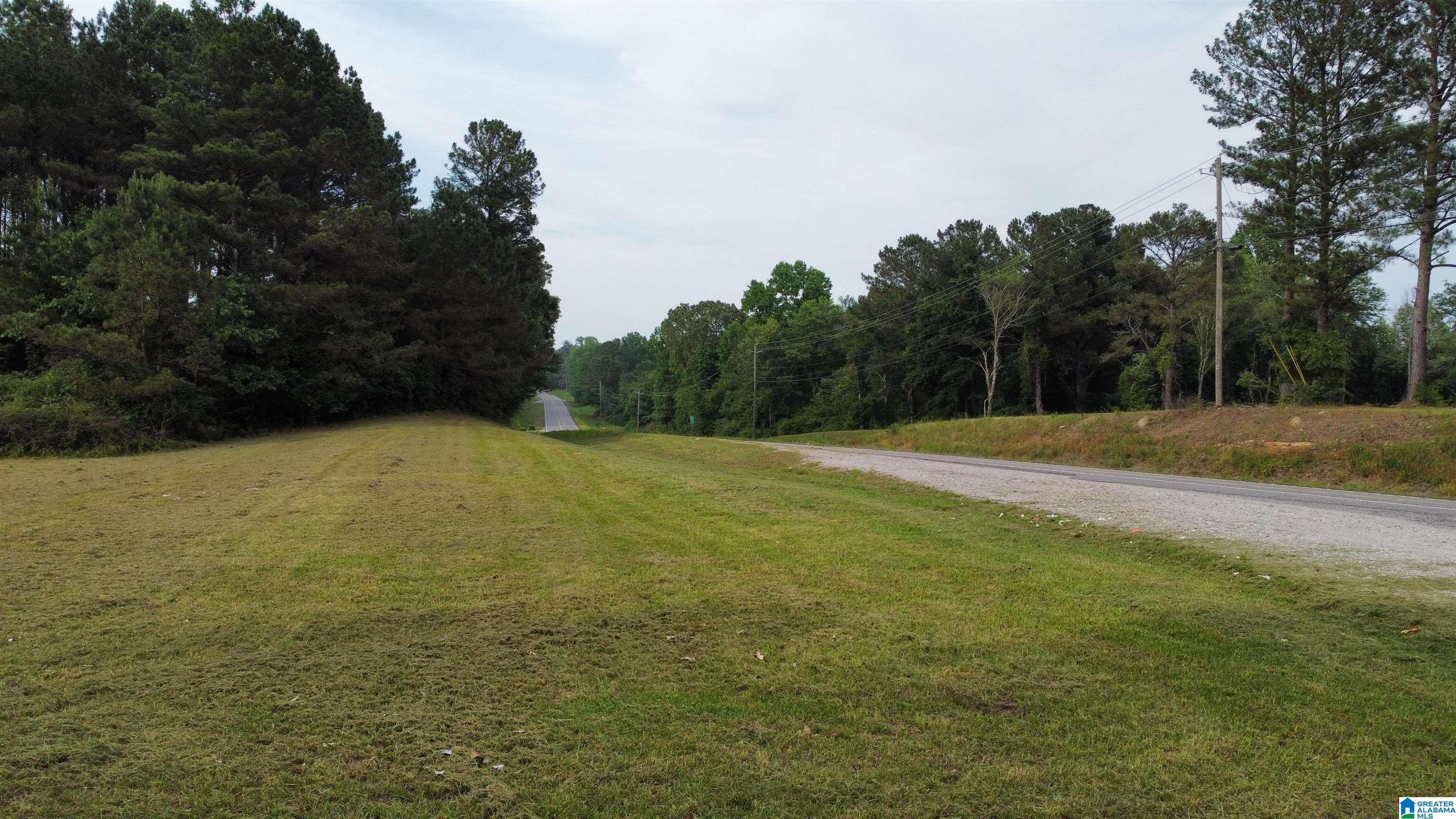 22909 Highway 195 Double Springs, AL 35553 - Photo 3 of 19