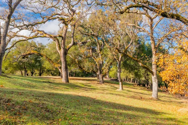 $395,000 | 36 Arroyo Sequoia, Carmel, CA 93923