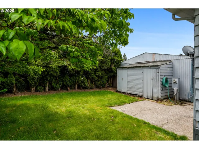 a view of a backyard with potted plants and large trees