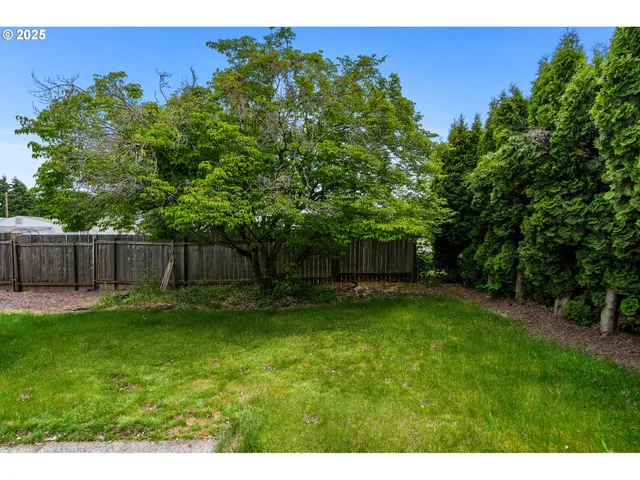a backyard of a house with lots of green space