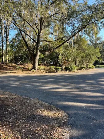 a view of yard with green space