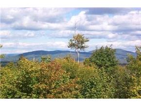 0 Brown S Ridge Road Ossipee, NH 03890 - Photo 1 of 1