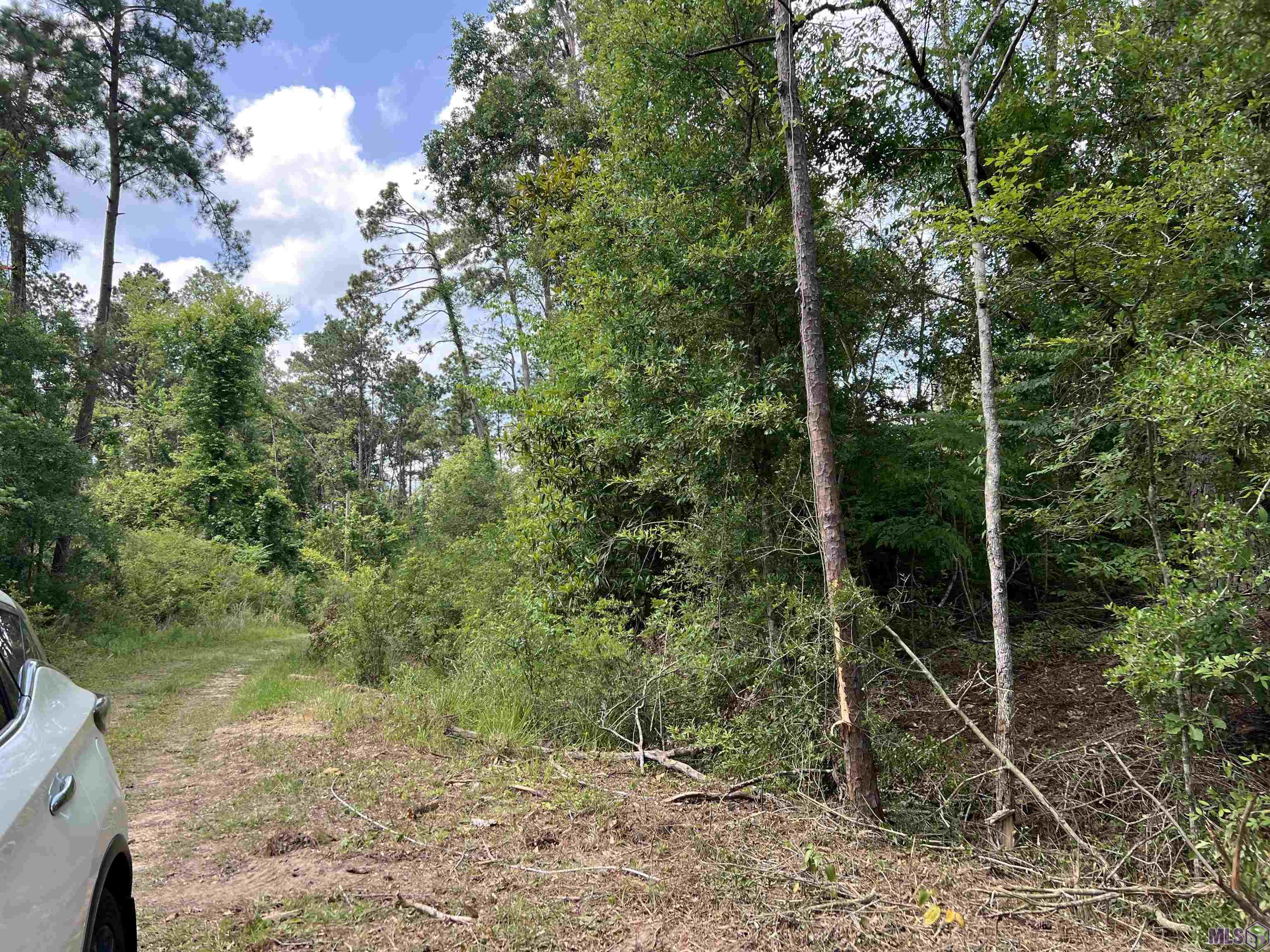 Not Available Not Available Mccarrol Road Springfield, LA 70462 - Photo 2 of 5 Gallery Image 2