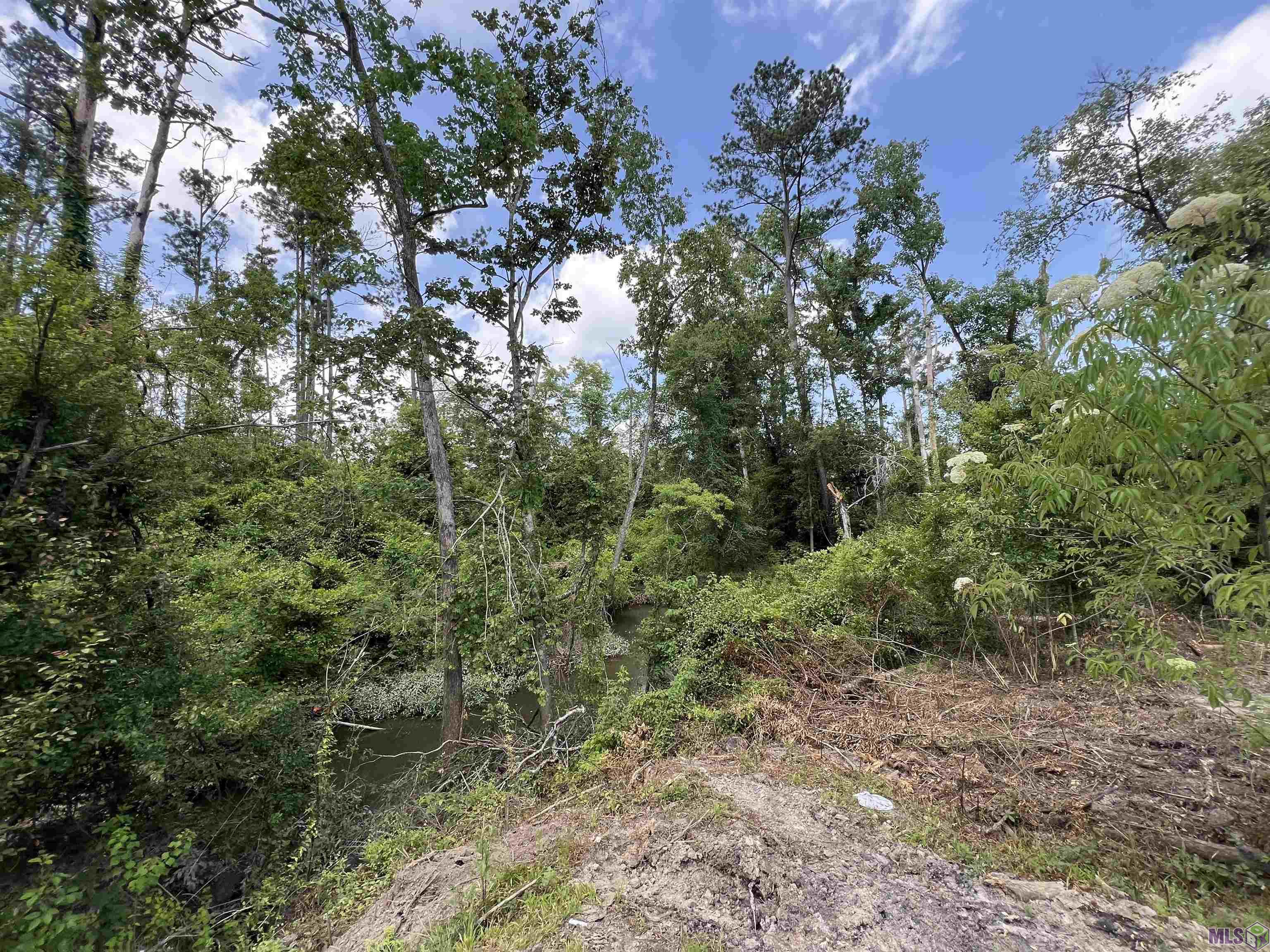 Not Available Not Available Mccarrol Road Springfield, LA 70462 - Photo 5 of 5 Gallery Image 5